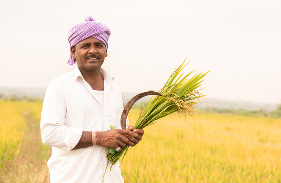 farmer image 1