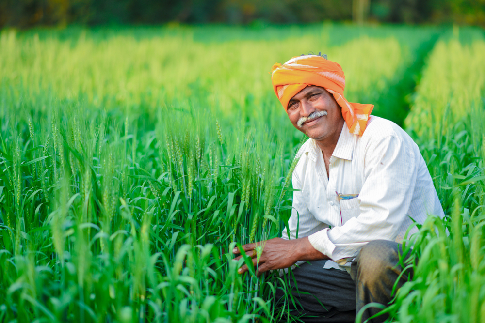 farmer image 3