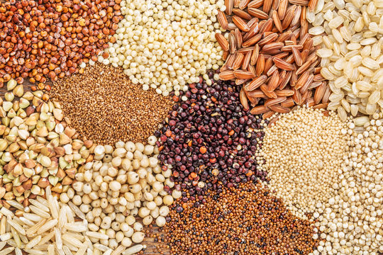 food grains
