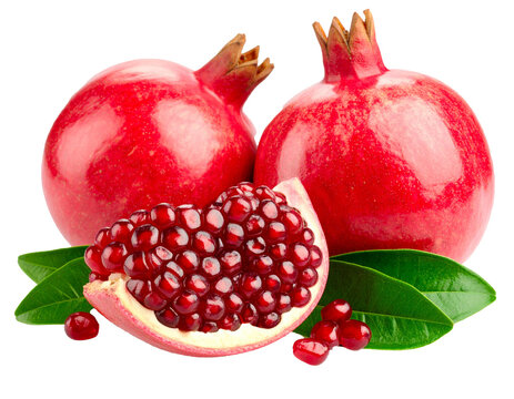 fruit seeds