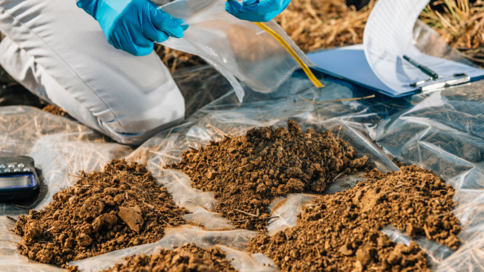 soil testing images