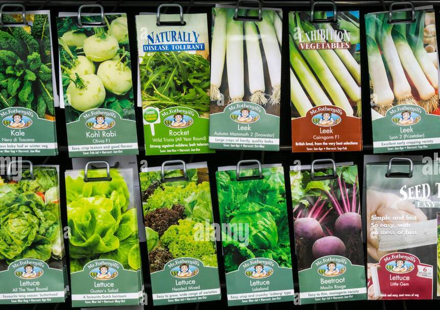 vegetable seeds