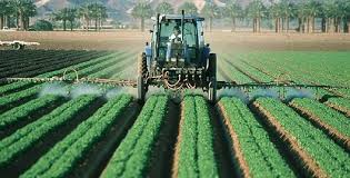 extensive farming