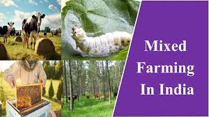 mixed farm in india